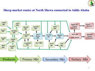 Sheep value chains in Menz Gera district, North Shewa Zone, Ethiopia: Results of a rapid value chain assessment