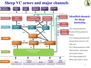 Sheep value chains in Menz Gera district, North Shewa Zone, Ethiopia: Results of a rapid value chain assessment