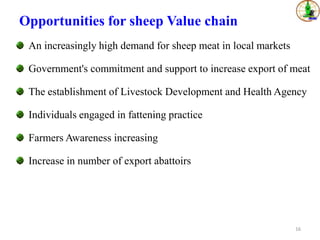 Sheep value chains in Menz Gera district, North Shewa Zone, Ethiopia: Results of a rapid value chain assessment