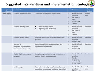 Sheep value chains in Menz Gera district, North Shewa Zone, Ethiopia: Results of a rapid value chain assessment