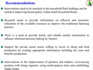 Sheep value chains in Menz Gera district, North Shewa Zone, Ethiopia: Results of a rapid value chain assessment