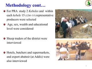 Sheep value chains in Menz Gera district, North Shewa Zone, Ethiopia: Results of a rapid value chain assessment