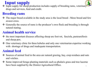 Sheep value chains in Menz Gera district, North Shewa Zone, Ethiopia: Results of a rapid value chain assessment