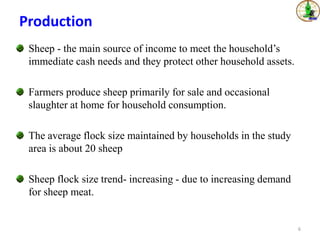 Sheep value chains in Menz Gera district, North Shewa Zone, Ethiopia: Results of a rapid value chain assessment