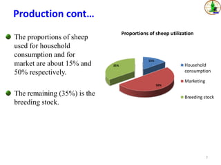 Sheep value chains in Menz Gera district, North Shewa Zone, Ethiopia: Results of a rapid value chain assessment