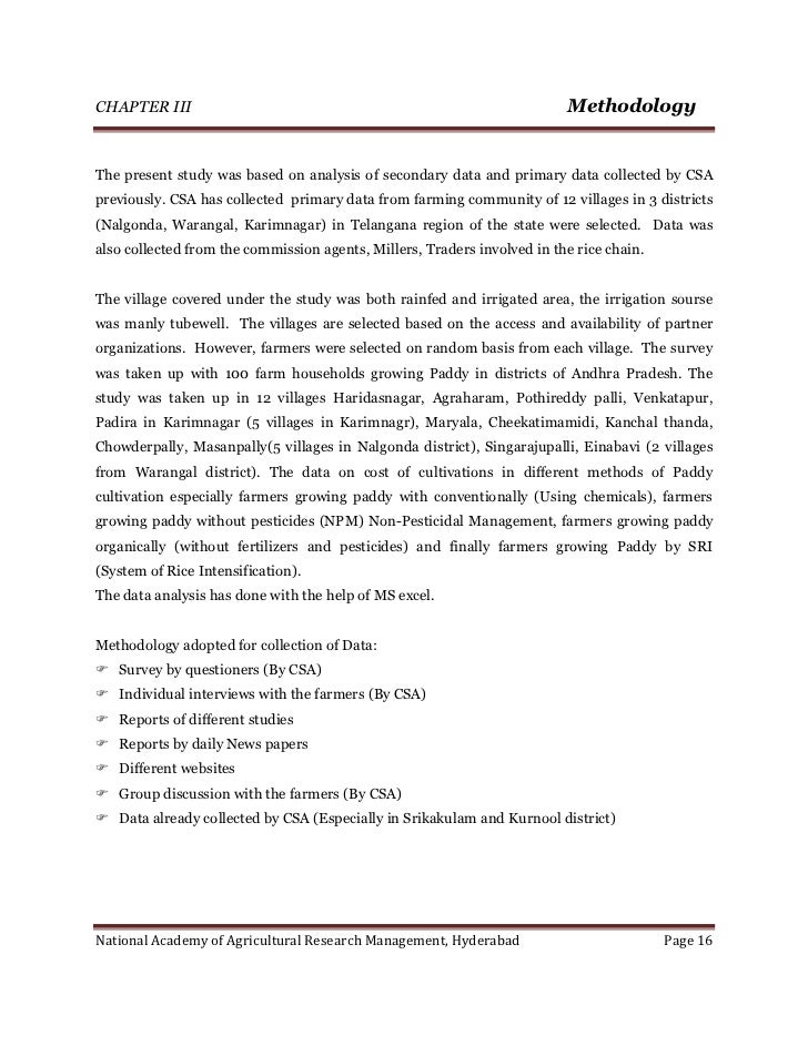 essay topics about feminist english literature