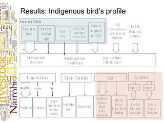 Results: Indigenous bird’s profile
S o u r c e s o f b ir d s
O w n fa rm
(fe rtilise d
e g g s)
U p -c o u n try
fa rm s
N G O
(D o le p )
S m a ll s c a le fa rm s
(1 -5 0 b ird s )
M e d iu m s c a le fa rm s
(5 0 -1 0 0 b ird s )
L a rg e sc a le fa rm s
(1 0 0 - 1 5 0 b ird s)
N e ig h b o u rs C e re m o n ie s
H o m e
c o n s u m p tio n
(h o lid a y s ,
v is ito rs )
E s ta b lis h e d
fa rm s
C h ic k s fro m
o th e r fa rm s
(to s ta rt a flo c k )
m a jo r ity
S ta rte r fa rm s
O w n fa rm
O th e r fa rm s
A n m a l fe e d s
Im p ro v e d
in d e g e n o u s
g e n o ty p e s
W A T E R
(V e n d o rs &
b o re h o le )
F E E D
L e fto v e rs , K ie n y e ji
m a s h , m a iz e a n d
s c a v e n g in g
M a tu re liv e b ird s C h ic k s (2 m o n th ) E g g s B y -p ro d u c ts
v e ry fe w fe w
N e ig h b o u rs
H a w k e rs
S h o p s
H o m e
c o n su m p tio n
B a k e rie s
B ro k e rs
H o te ls / K io s k
H a tc h in g
F e s tiv a ls
D is p o s a l
F is h in g lin e
M a n u re F e a th e rs
 