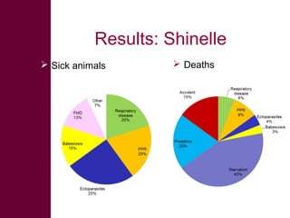 Safe Food, Fair Food: Summary of findings within lowland goat and sheep value chains in Ethiopia