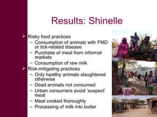 Safe Food, Fair Food: Summary of findings within lowland goat and sheep value chains in Ethiopia