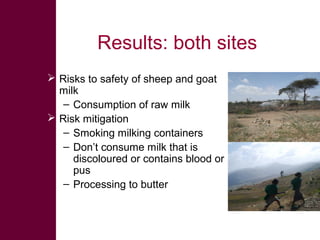Safe Food, Fair Food: Summary of findings within lowland goat and sheep value chains in Ethiopia