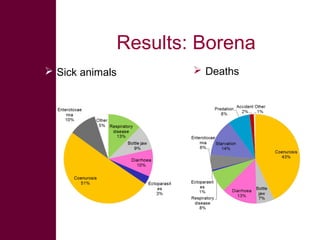 Safe Food, Fair Food: Summary of findings within lowland goat and sheep value chains in Ethiopia