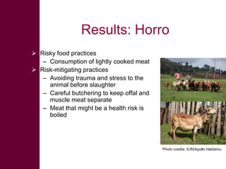 Safe Food, Fair Food: Summary of findings within sheep value chains in the Ethiopian Highlands