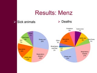 Safe Food, Fair Food: Summary of findings within sheep value chains in the Ethiopian Highlands