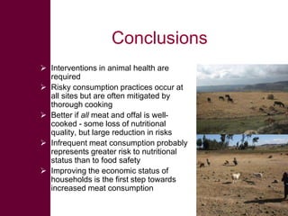 Safe Food, Fair Food: Summary of findings within sheep value chains in the Ethiopian Highlands