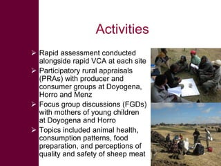 Safe Food, Fair Food: Summary of findings within sheep value chains in the Ethiopian Highlands