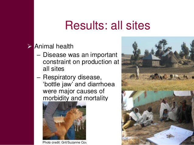 Consumer Perceptions Of Food Safety And Quality Consumer Perceptions Of Food Safety And Quality