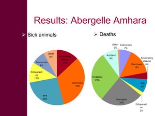 Safe Food, Fair Food: Summary of findings within sheep value chains in the Atsbi and Abergelle districts of the Ethiopian Highlands