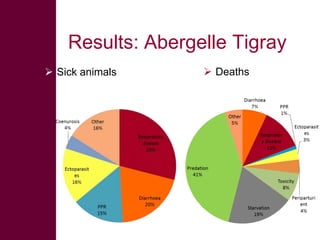 Safe Food, Fair Food: Summary of findings within sheep value chains in the Atsbi and Abergelle districts of the Ethiopian Highlands