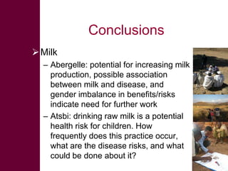 Safe Food, Fair Food: Summary of findings within sheep value chains in the Atsbi and Abergelle districts of the Ethiopian Highlands