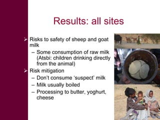 Safe Food, Fair Food: Summary of findings within sheep value chains in the Atsbi and Abergelle districts of the Ethiopian Highlands