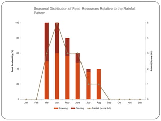 Goat value chains in Shinelle district, Somali zone, Ethiopia: Results of a rapid value chain assessment 