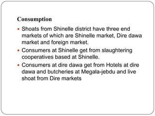 Goat value chains in Shinelle district, Somali zone, Ethiopia: Results of a rapid value chain assessment 