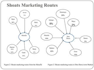 Goat value chains in Shinelle district, Somali zone, Ethiopia: Results of a rapid value chain assessment 
