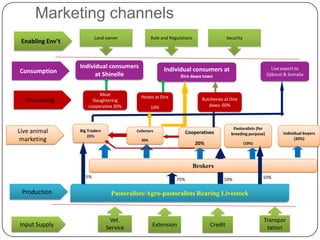 Goat value chains in Shinelle district, Somali zone, Ethiopia: Results of a rapid value chain assessment 