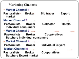 Goat value chains in Shinelle district, Somali zone, Ethiopia: Results of a rapid value chain assessment 