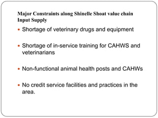 Goat value chains in Shinelle district, Somali zone, Ethiopia: Results of a rapid value chain assessment 