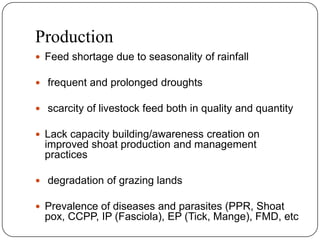 Goat value chains in Shinelle district, Somali zone, Ethiopia: Results of a rapid value chain assessment 