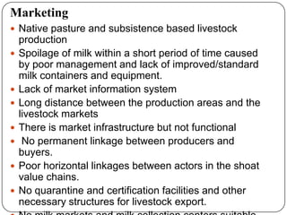 Goat value chains in Shinelle district, Somali zone, Ethiopia: Results of a rapid value chain assessment 