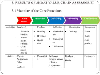 Goat value chains in Shinelle district, Somali zone, Ethiopia: Results of a rapid value chain assessment 