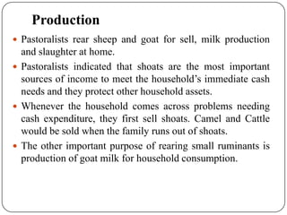 Goat value chains in Shinelle district, Somali zone, Ethiopia: Results of a rapid value chain assessment 
