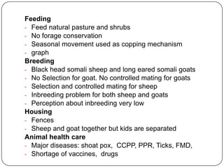 Goat value chains in Shinelle district, Somali zone, Ethiopia: Results of a rapid value chain assessment 