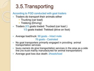 Tanqua-Abergelle Goat Value Chain Analysis: The case of Abergelle district, Tigray Region, Ethiopia