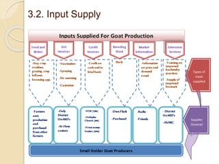 Tanqua-Abergelle Goat Value Chain Analysis: The case of Abergelle district, Tigray Region, Ethiopia