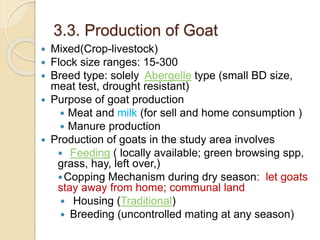 Tanqua-Abergelle Goat Value Chain Analysis: The case of Abergelle district, Tigray Region, Ethiopia