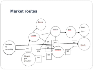 Waq-Abergelle Goat Value Chain Analysis: The case of Abergelle Woreda, Amhara Region, Ethiopia