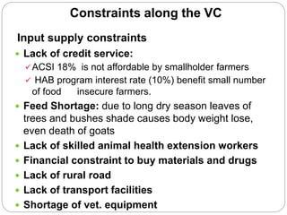Waq-Abergelle Goat Value Chain Analysis: The case of Abergelle Woreda, Amhara Region, Ethiopia