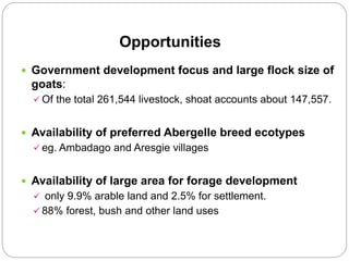 Waq-Abergelle Goat Value Chain Analysis: The case of Abergelle Woreda, Amhara Region, Ethiopia