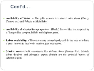 Waq-Abergelle Goat Value Chain Analysis: The case of Abergelle Woreda, Amhara Region, Ethiopia