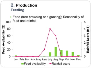 Waq-Abergelle Goat Value Chain Analysis: The case of Abergelle Woreda, Amhara Region, Ethiopia