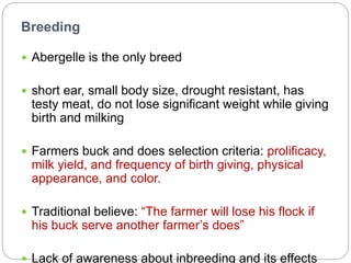 Waq-Abergelle Goat Value Chain Analysis: The case of Abergelle Woreda, Amhara Region, Ethiopia