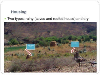 Waq-Abergelle Goat Value Chain Analysis: The case of Abergelle Woreda, Amhara Region, Ethiopia