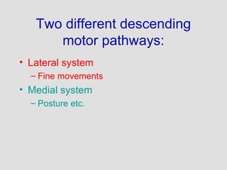 Subordinate Motor Patterns Anatomy and Physiology of Motor disorder | PPT
