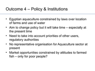 Egypt Aquaculture Value Chain Component Situation Report 2012
