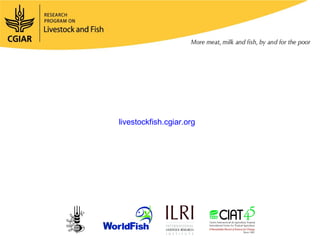 Egypt Aquaculture Value Chain Component Situation Report 2012