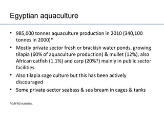 Egypt Aquaculture Value Chain Component Situation Report 2012