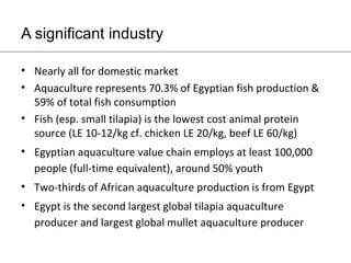 Egypt Aquaculture Value Chain Component Situation Report 2012